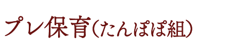 プレ保育(たんぽぽ組)